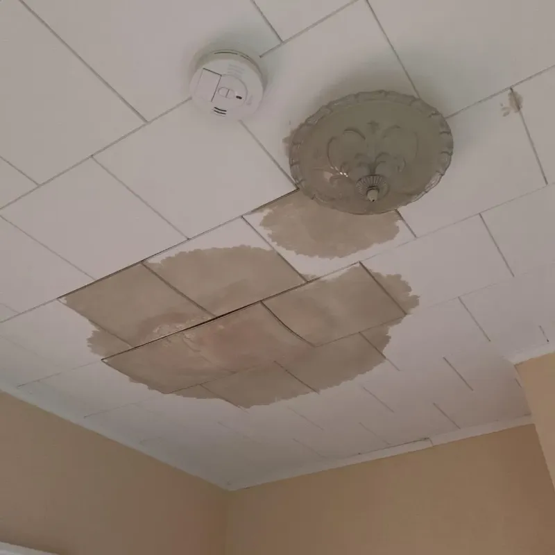 Ceiling Water Damage Repair in Worland, WY