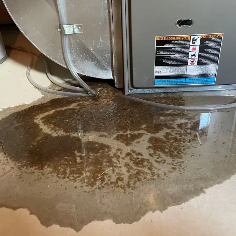 Pipe Burst and Leak Restoration in Worland, WY