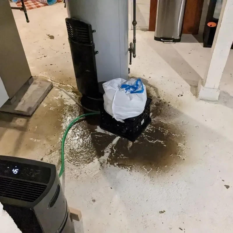 Sewage Backup Cleanup Service in Worland, WY